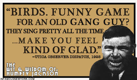 Humpty Jackson on Birds