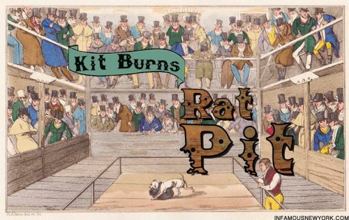 Kit Burns Rat Pit 273 Water Street